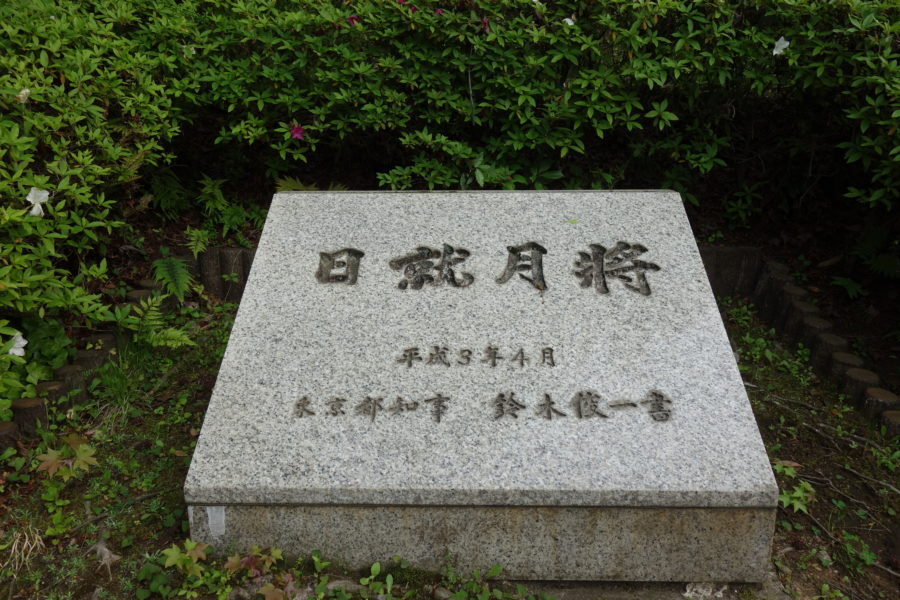 大都市と子どもたち : 遊び空間の現状と課題(山本清洋 編